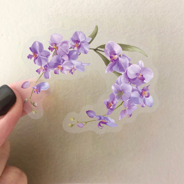 Wholesale 50 transparent INS orchid sticker bag waterproof transparent PET hand account material decorative guitar cross-border