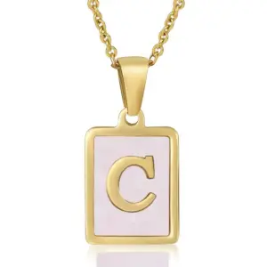 Pink Shell C (Including Chain)