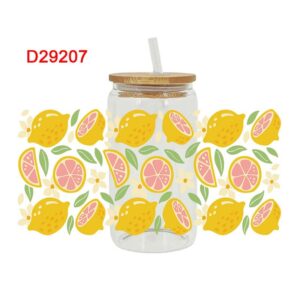 D29207