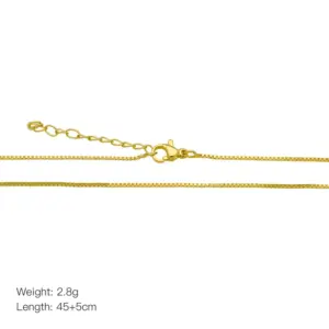 Dn240707-C (Box Extension Chain-Gold)