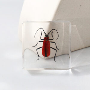 Red Sky Bull 6 Beats / 38mm*38mm*14mm