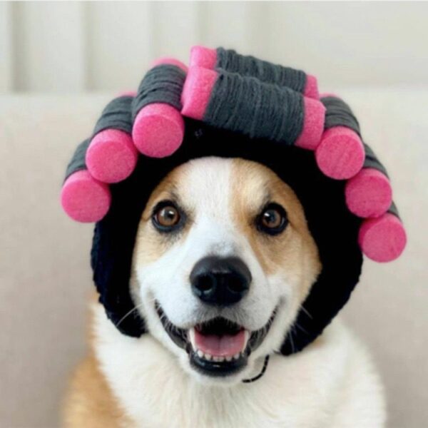 Wholesale cute and funny pet headgear