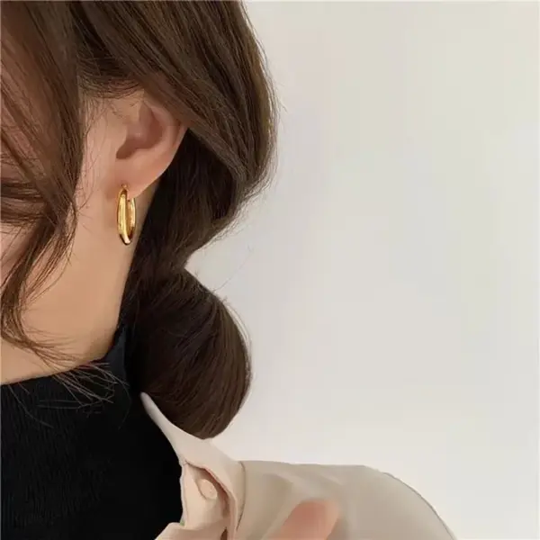 Wholesale Fashion Geometric Stainless Steel Hoop Earrings Plating Stainless Steel Earrings