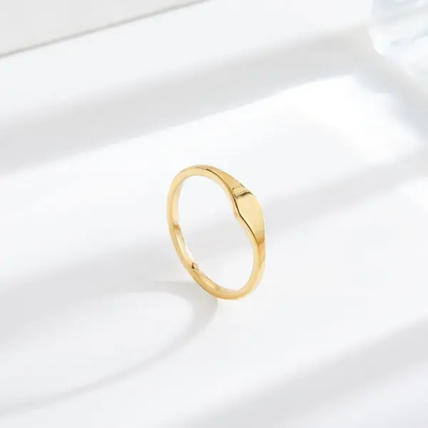 Wholesale Vacuum Plating PVD Coated Real Gold Plated 18K Gold Geometric 304 Stainless Steel Simple Style Waterproof Non Tarnish Rings