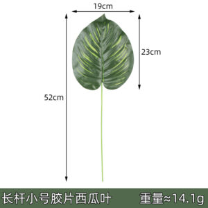 Long pole small film watermelon leaf