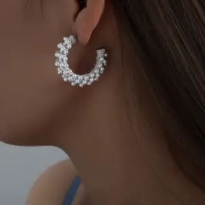 Steel Earrings