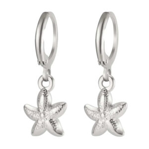 Steel color starfish