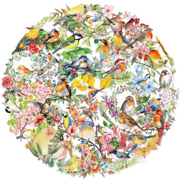 Wholesale 50 sheets transparent ins watercolor bird sticker bag waterproof transparent PET hand account material decorative guitar notebook batch