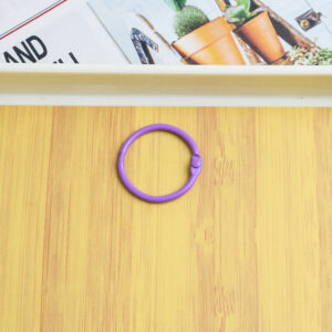 Purple 3cm circlip