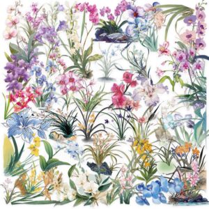 Wholesale 50 transparent INS orchid sticker bag waterproof transparent PET hand account material decorative guitar cross-border