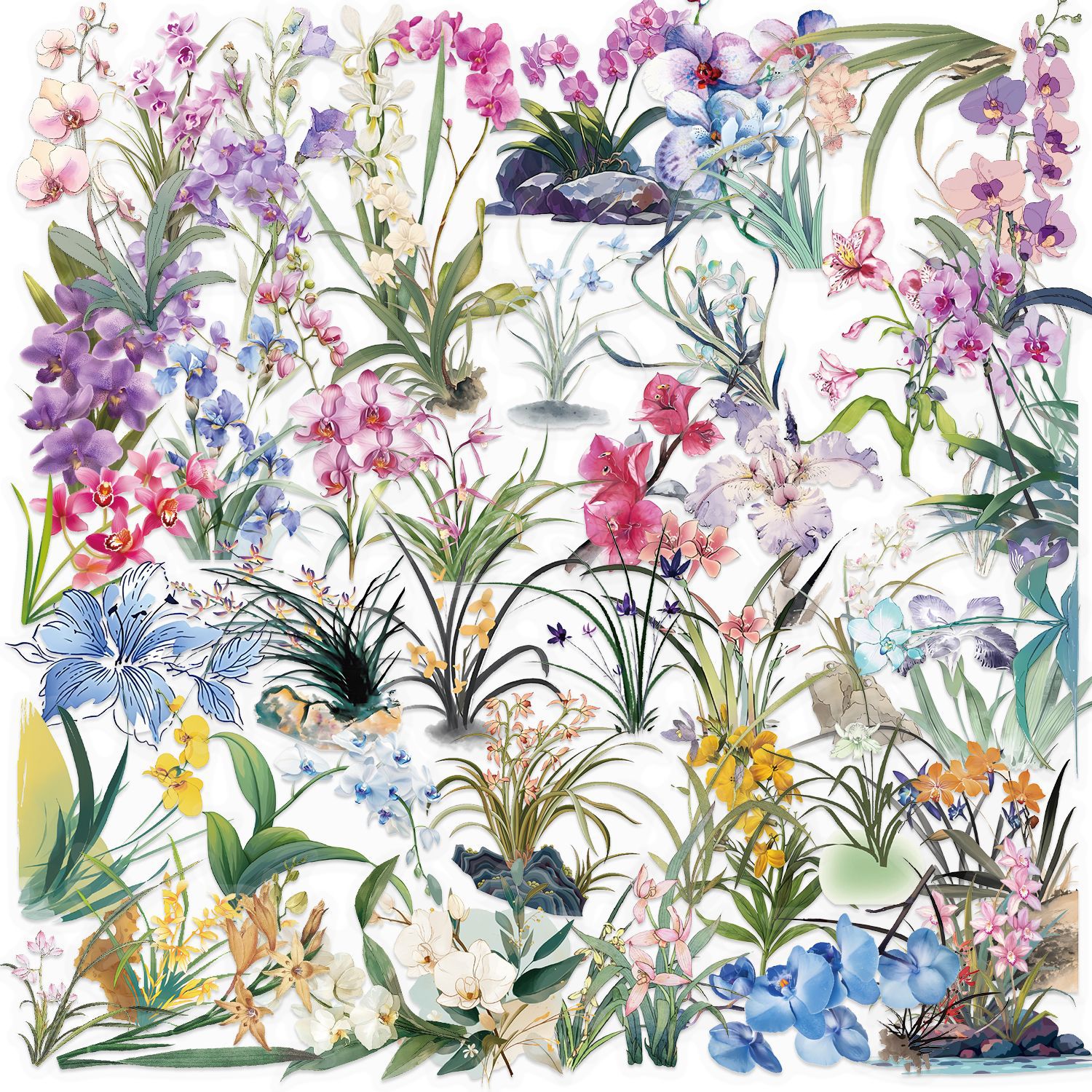 Wholesale 50 transparent INS orchid sticker bag waterproof transparent PET hand aount material decorative guitar cross-border