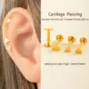 1 Piece Ear Cartilage Rings & Studs IG Style French Style Simple Style Triangle Heart Shape 316L Stainless Steel Waterproof Non Tarnish Surgical Steel