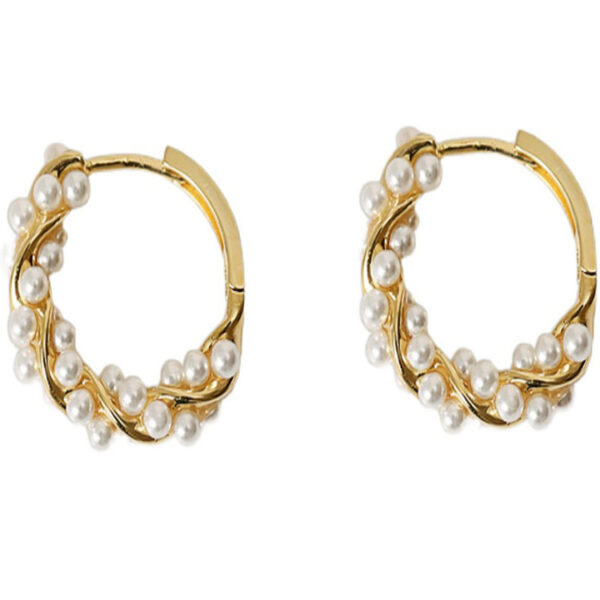 Wholesale 2023 New Pearl Earrings Irregular Temperament Earrings Internet Celebrity Trendy Earrings Small and Exquisite Earrings Women's Trend