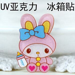 A219(UV acrylic refrigerator)