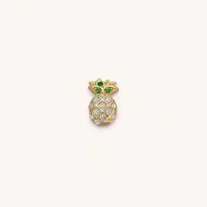 Pineapple Accessories