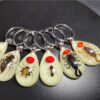 Wholesale Real insect specimen resin keychain