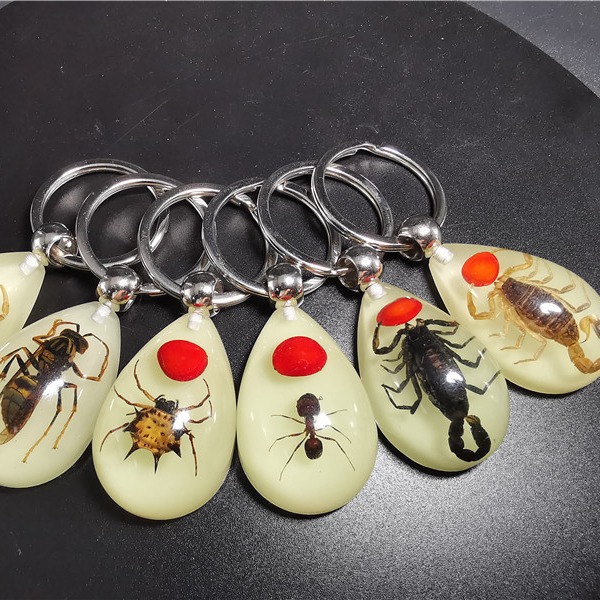 Wholesale Real insect specimen resin keychain