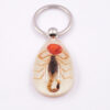oly-1486cc76d88bf3f242dde5520d0d4aeb Wholesale Large Amber Glow-in-the-Dark Insect Keychain