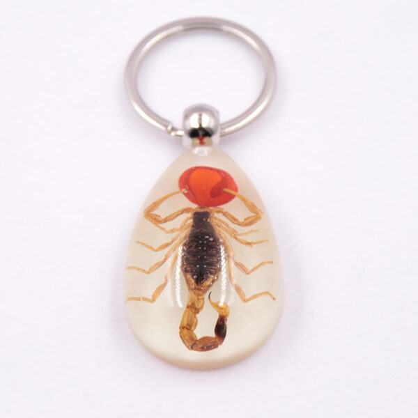 oly-1486cc76d88bf3f242dde5520d0d4aeb Wholesale Large Amber Glow-in-the-Dark Insect Keychain