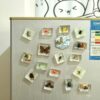 Wholesale Creative Real Insect Refrigerator Magnet Tourist Attractions Cultural and Creative Gift Souvenirs Cute Three-dimensional Magnetic Refrigerator Magnet