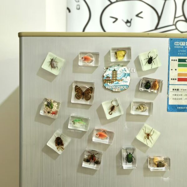 Wholesale Creative Real Insect Refrigerator Magnet Tourist Attractions Cultural and Creative Gift Souvenirs Cute Three-dimensional Magnetic Refrigerator Magnet