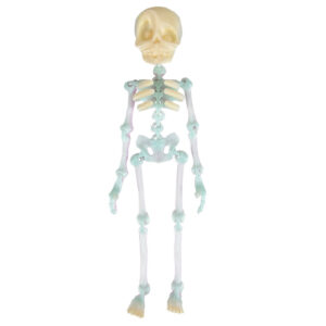 Fridge magnets / Candy colors (gradient effect is random)