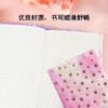 Wholesale plush notebook 80 pages gradient student diary hand book