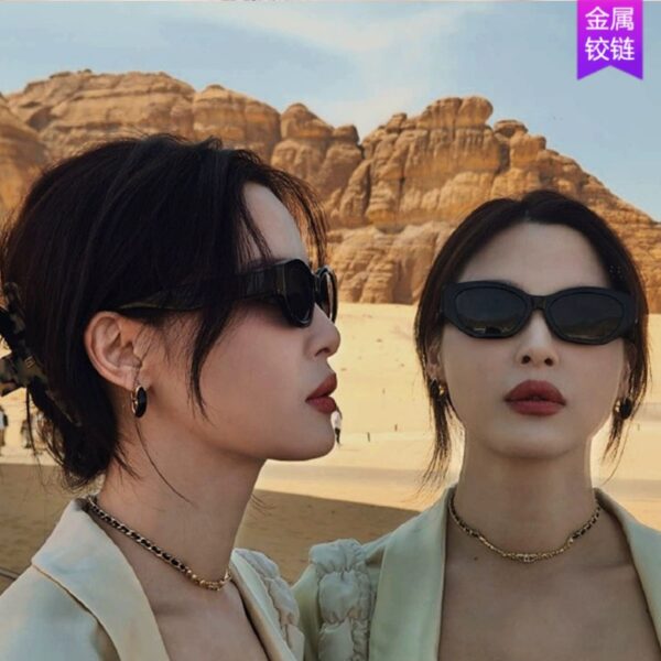 Wholesale 2024 New Xin Zhilei Same Style Cat's Eye Sunglasses Women's High-end Fashion Retro Narrow Frame UV Protection Sunglasses