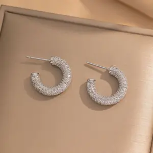 251cc Full Diamond Earrings / Steel Color