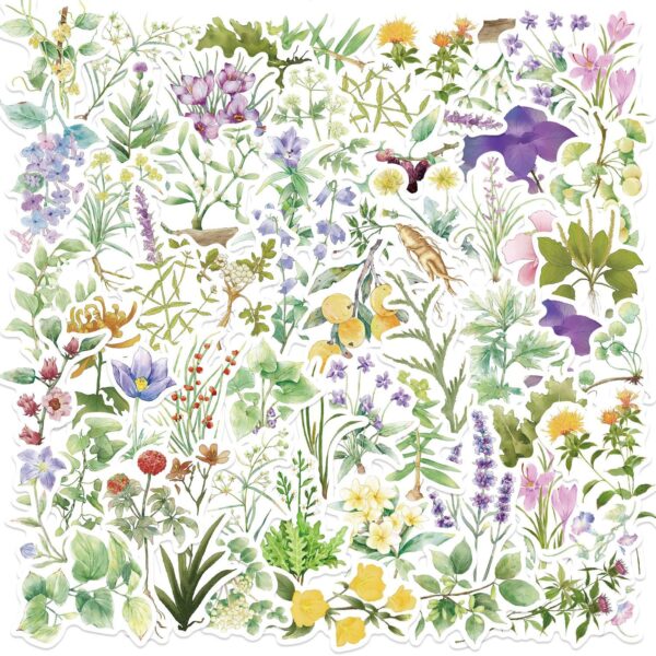 Wholesale 50 INS Chinese Medicine Plant Graffiti Stickers Decorative Guitar Notebook Luggage DIY Waterproof Cross-border