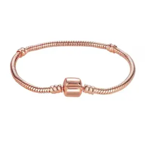 Rose Gold Necklace / 20cm