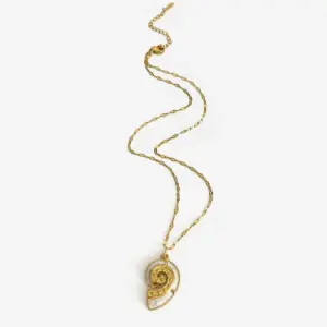 Golden Conch