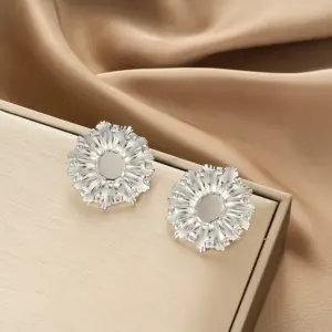 E1390-B (a Pair of Silver Ear Studs)