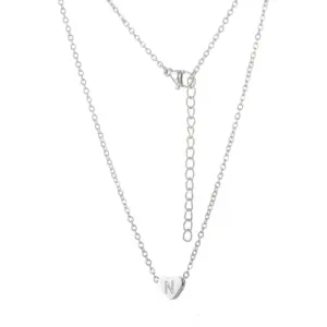 Steel Heart Necklace / N