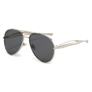 As shown in the picture / C6. silver frame gray film