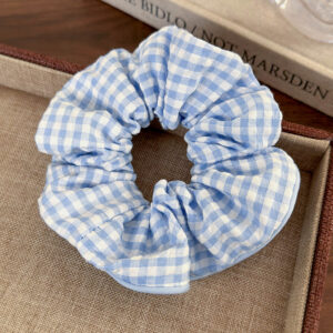 #60 blue and white plaid