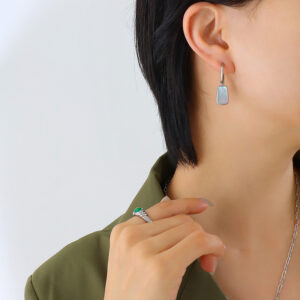F183-Steel earrings