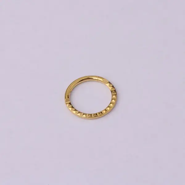 Wholesale 316L Stainless Steel Ear Cartilage Rings & Studs Geometric Waterproof Non Tarnish Surgical Steel