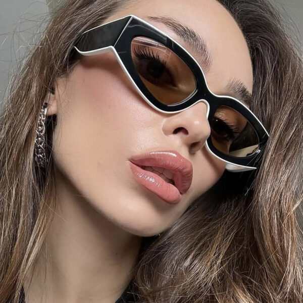 oly-1cc0f22d9ea36b9d8e1cbbc091ee38a9 Wholesale Black and White Panda Double Color Sunglasses Ins Fashion Fragrant Style Internet Celebrity All-match Sunglasses for Women