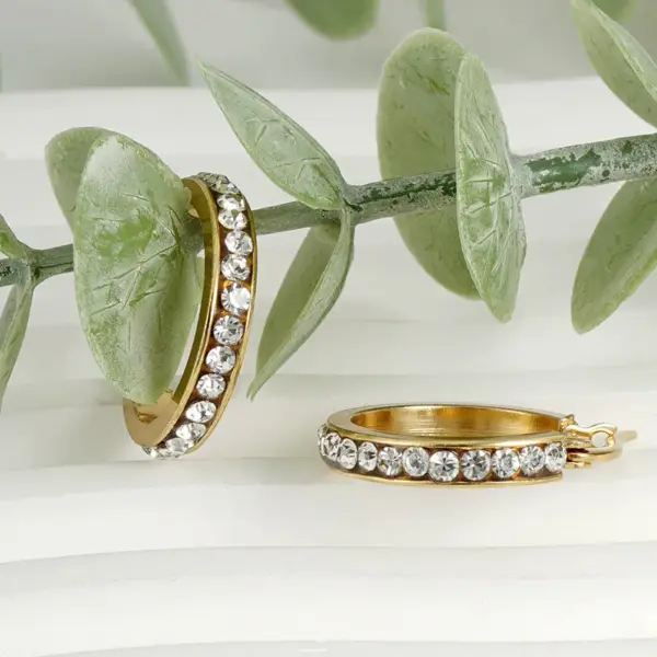 Wholesale 1 Pair Fashion Geometric Inlay Titanium Steel Rhinestones Hoop Earrings