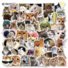 Wholesale 50PCS/PACK celebrity funny cat stickers