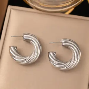 10 [Ag122] Twist C- Shaped Earrings / Steel Color