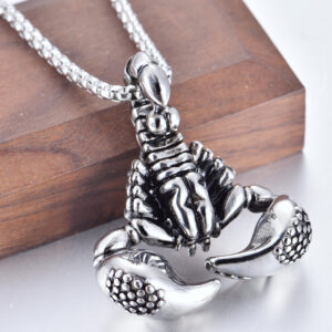 Scorpion + stainless steel chain