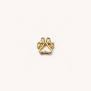 Dog Paw Accessories