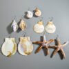 Wholesale European and American Cross-border Retro Distinctive Beach Wind Conch Shell Earrings Acrylic Starfish Holiday Wind Earrings for Women