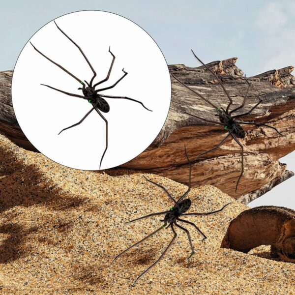 oly-247bae11779c29356d5da93d1393c76b Wholesale Cross Border New Spider Fridge Magnet Halloween Home Decor Spider Horror Fridge Magnet