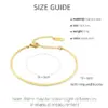 Wholesale PVD Coated Real Gold Plated Solid Color 304 Stainless Steel Simple Style Waterproof Non Tarnish 304 Stainless Steel Bangle