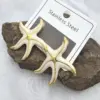 1 Piece Casual Elegant Lady Starfish Steel 18K Gold Plated Earrings