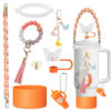 Wholesale Pendant Bracelet Keychain Resin Butterfly Straw Dust Cover