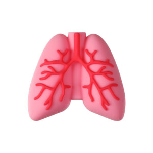 3D Lung